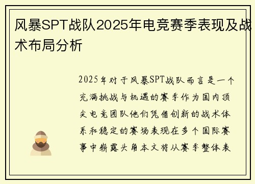风暴SPT战队2025年电竞赛季表现及战术布局分析